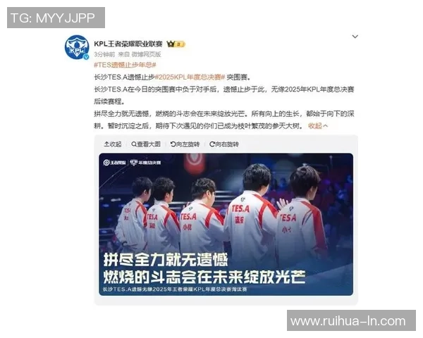 王者荣耀热议TES战队个人能力的争议与分析探讨