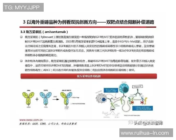 重磅专题:探索LNG行业的创新与整体压制新趋势 重磅专题:探索LNG行业的创新与整体压制新趋势