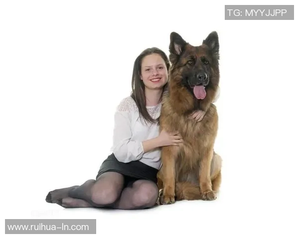 西班牙足球明星的伴侣们揭秘她们的故事与风采