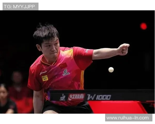 南京羽毛球队展现强大实力大满贯赛点评与未来展望