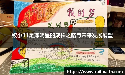 江南JNSport体育