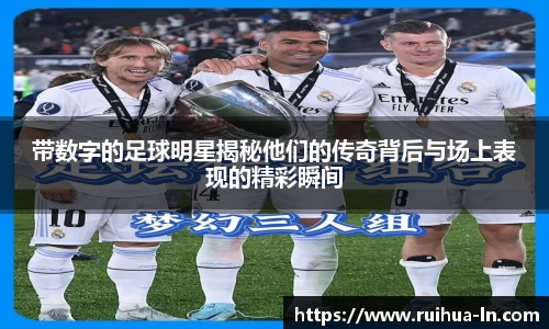 JN体育官方网站